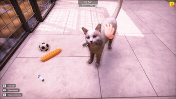 Screenshot2