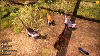 Screenshot6