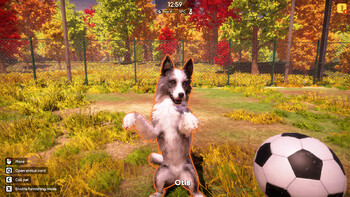 Screenshot9