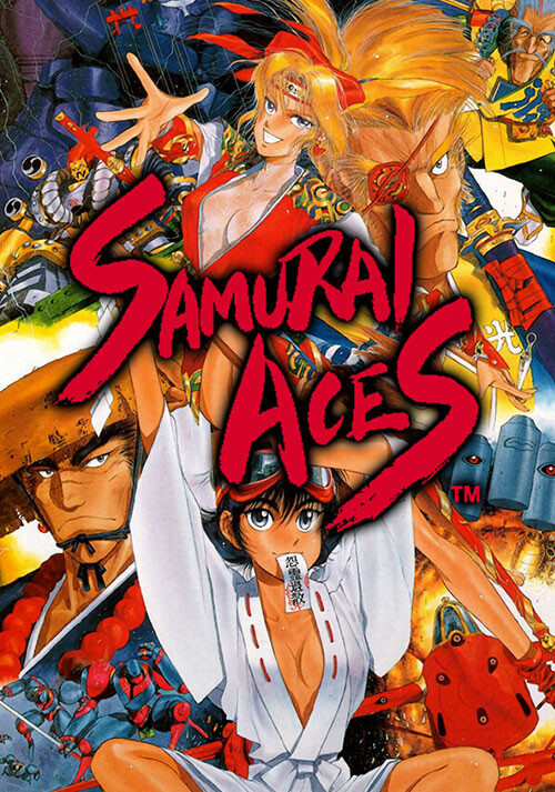 Samurai Ace - Cover / Packshot