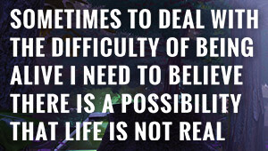 Sometimes to Deal with the Difficulty of Being Alive, I Need to Believe There Is a Possibility That Life Is Not Real.