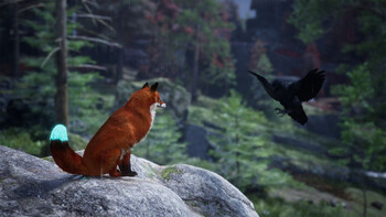 Screenshot7