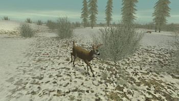 Screenshot5