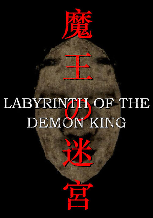 Labyrinth Of The Demon King - Cover / Packshot