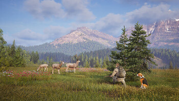 Screenshot12