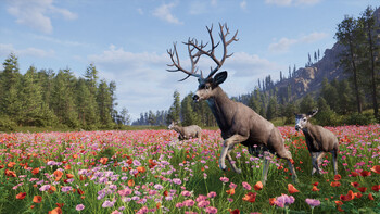 Screenshot3