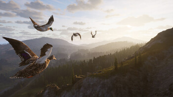 Screenshot6