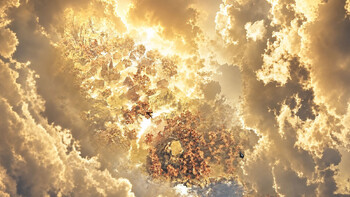 Screenshot7