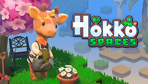 Hokko Spaces