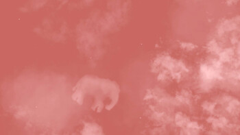 Screenshot6