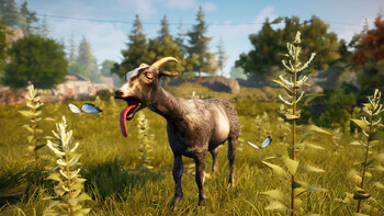 Screenshot4