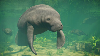 Screenshot7