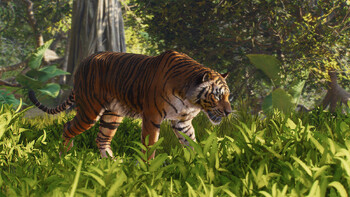 Screenshot9