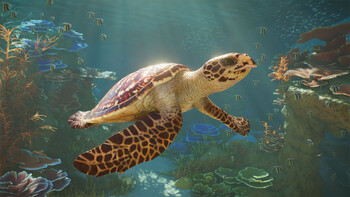 Screenshot11
