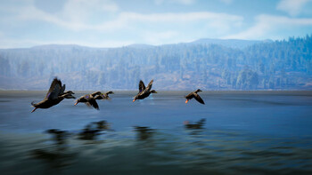 Screenshot4