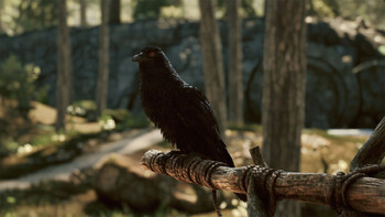 Screenshot15