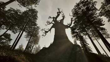 Screenshot5