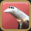 Concorde Achievement