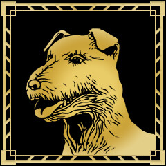 The Luckiest Dog in Chicago