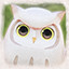 Owl Spotter