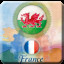 France - Wales