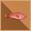 1.000 kg Red Fish