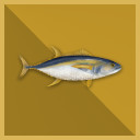 5.000 Tuna