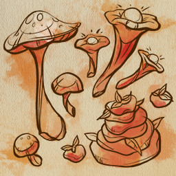 Master Of Mushrooms
