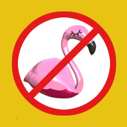 No flamingos allowed
