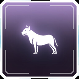 Suspicious Of Your Smell