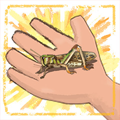 Grasshopper Guru