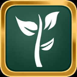 Reforestation