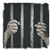 The Egyptian Prison System