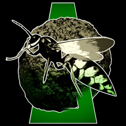 Beekeeper