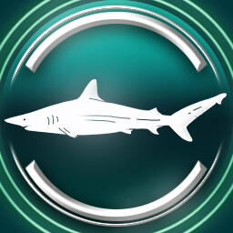 Spinner shark