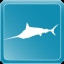 Striped Marlin