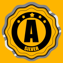 Drive License A Silver