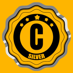 Drive License C Silver