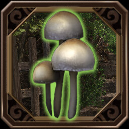 Beware of Mushrooms