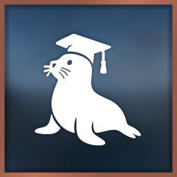 Getting your Feet wet