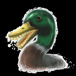 The Dacian Duck