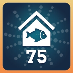 Fish City