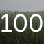 100%