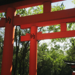 Fushimi Inari Taisha Complete
