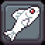 1No Fish