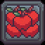 1T Apples