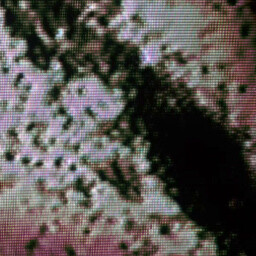 Disinfectant Compiler