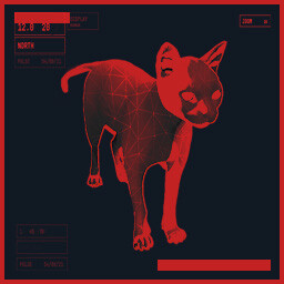 The Catfinder