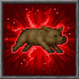 Porcine Predicament