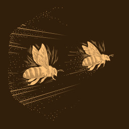 Fast Bee